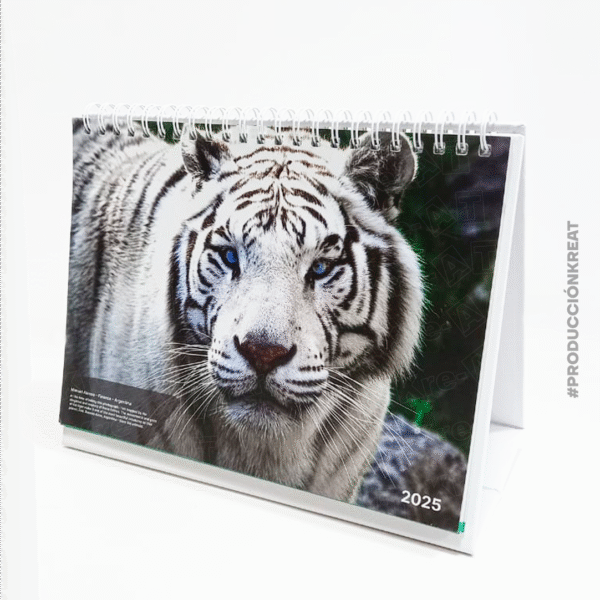 CALENDARIO DE ESCRITORIO ANILLADO - Imagen 6
