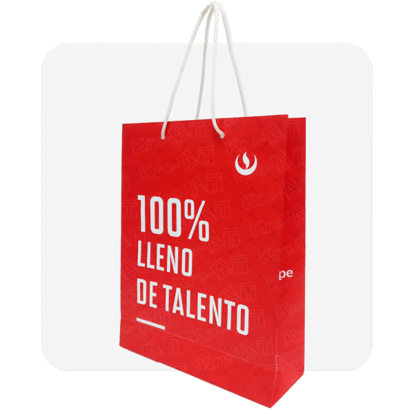 BOLSA DE PAPEL COUCHÉ CON ASA DE DRIZA / K001